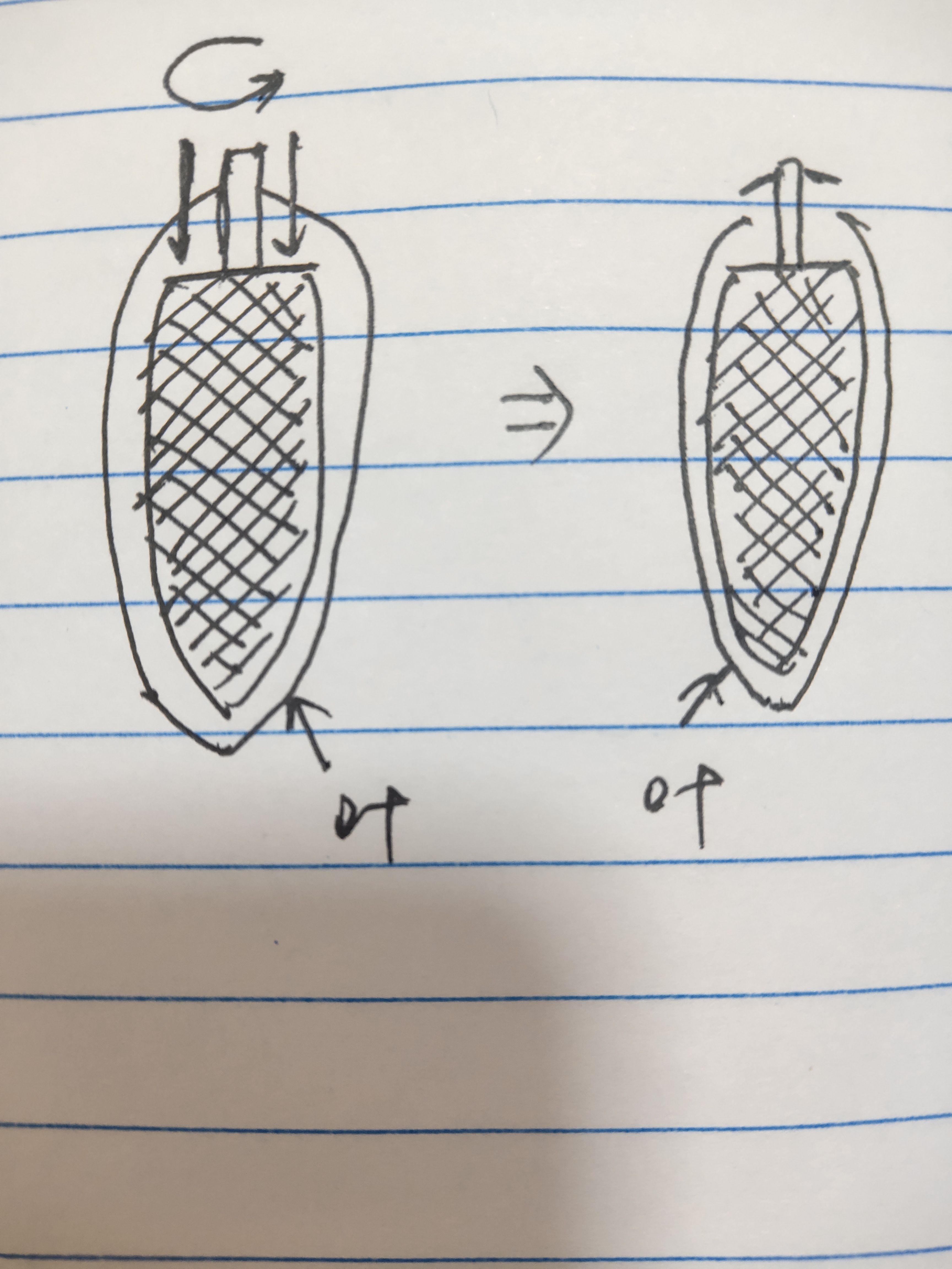 切断穗皮，有必要的话切断玉米头部的须