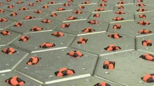 2.gif