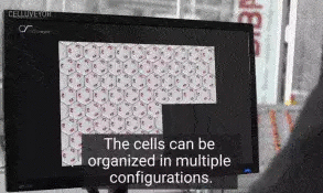 12.gif