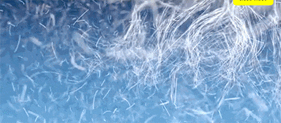 5.gif
