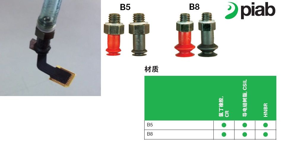 PIAB.jpg