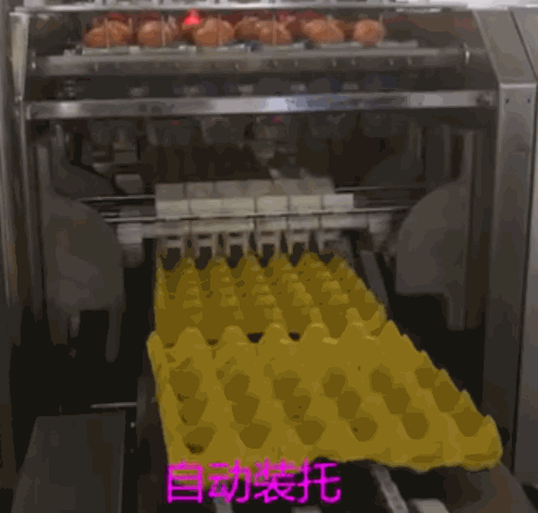 2.gif