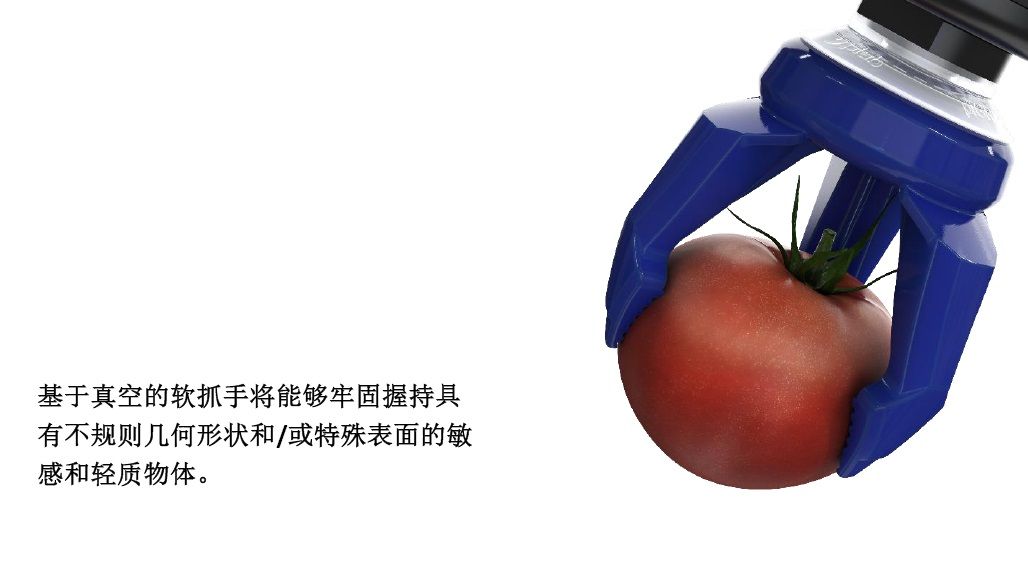PIAB SoftGrip 1.jpg