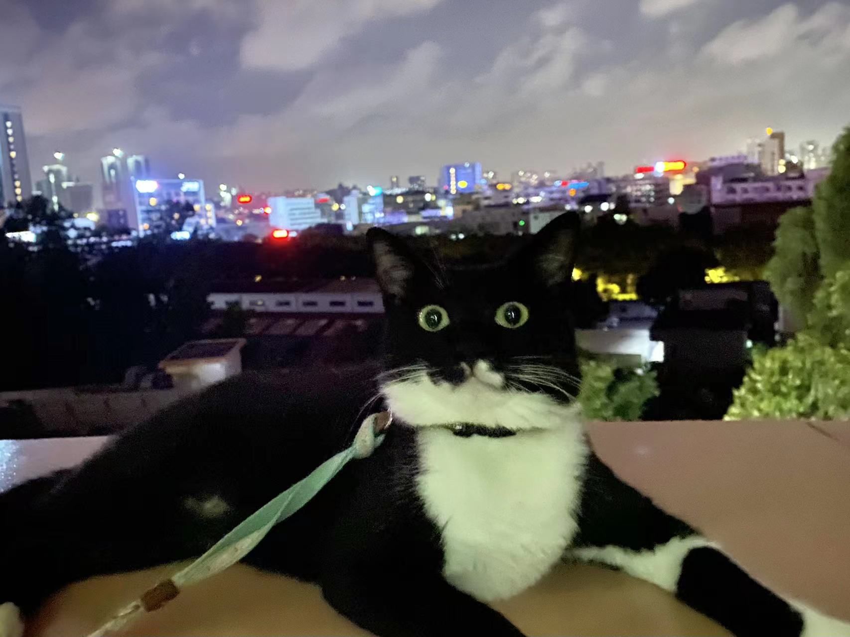 微信图片_20220601144323.jpg