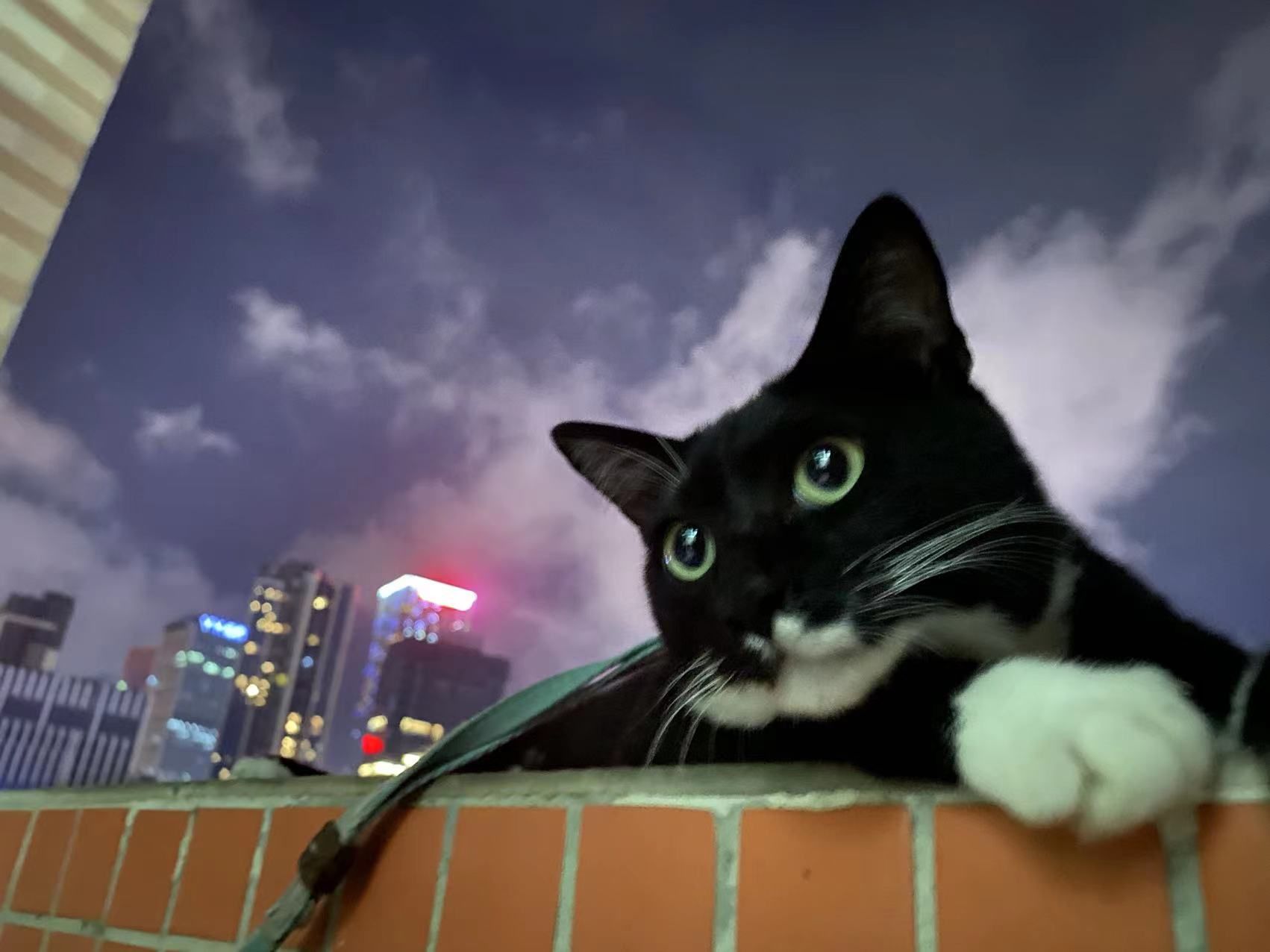 微信图片_20220601144110.jpg