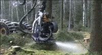 2.gif