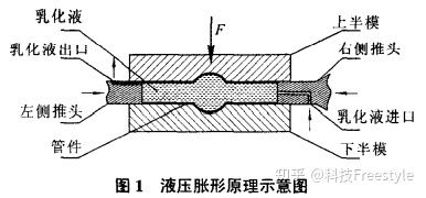 v2-f294.jpg