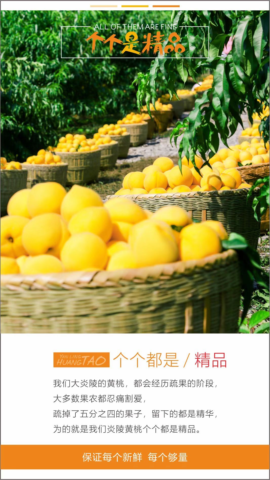 个个都是