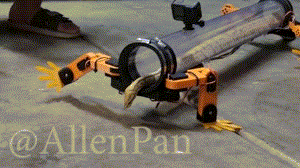 蛇四肢.gif