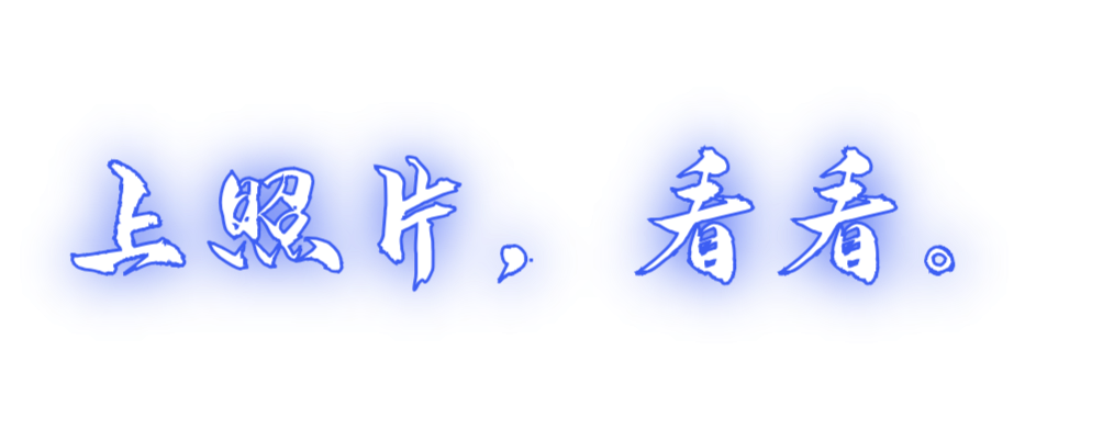 上照片看看.jpg