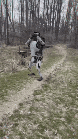 这图到底是不是P的 (1).gif