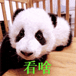 1664934585458e4c7f7e9-3c72-49af-b689-e78e25379fdb-0.gif