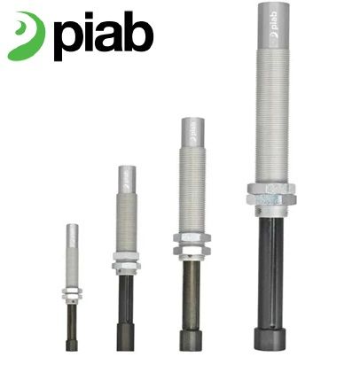 PIAB LC.webp.jpg