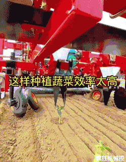 国产机械化栽菜，双行移栽，只需两人每天可种植20亩地.gif