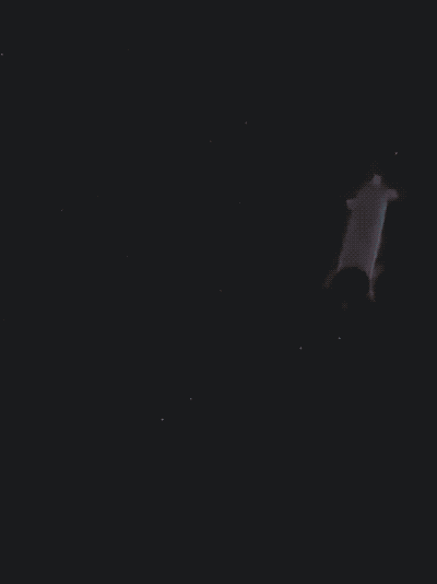 马斯克飞船4.gif