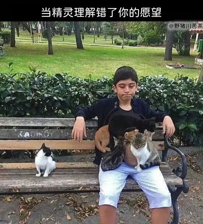 1693626066655.jpg