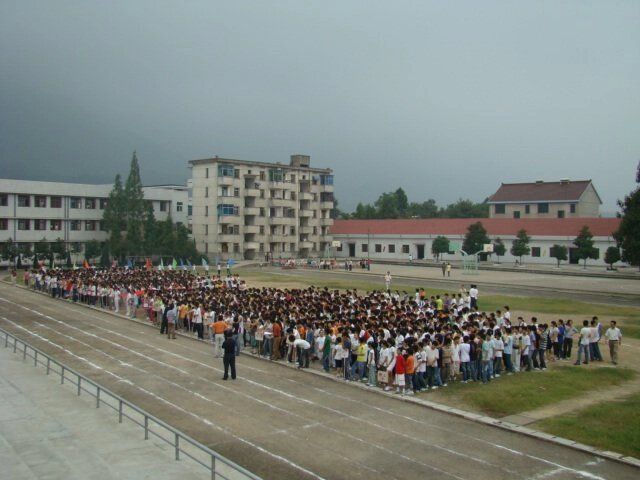 323.jpg