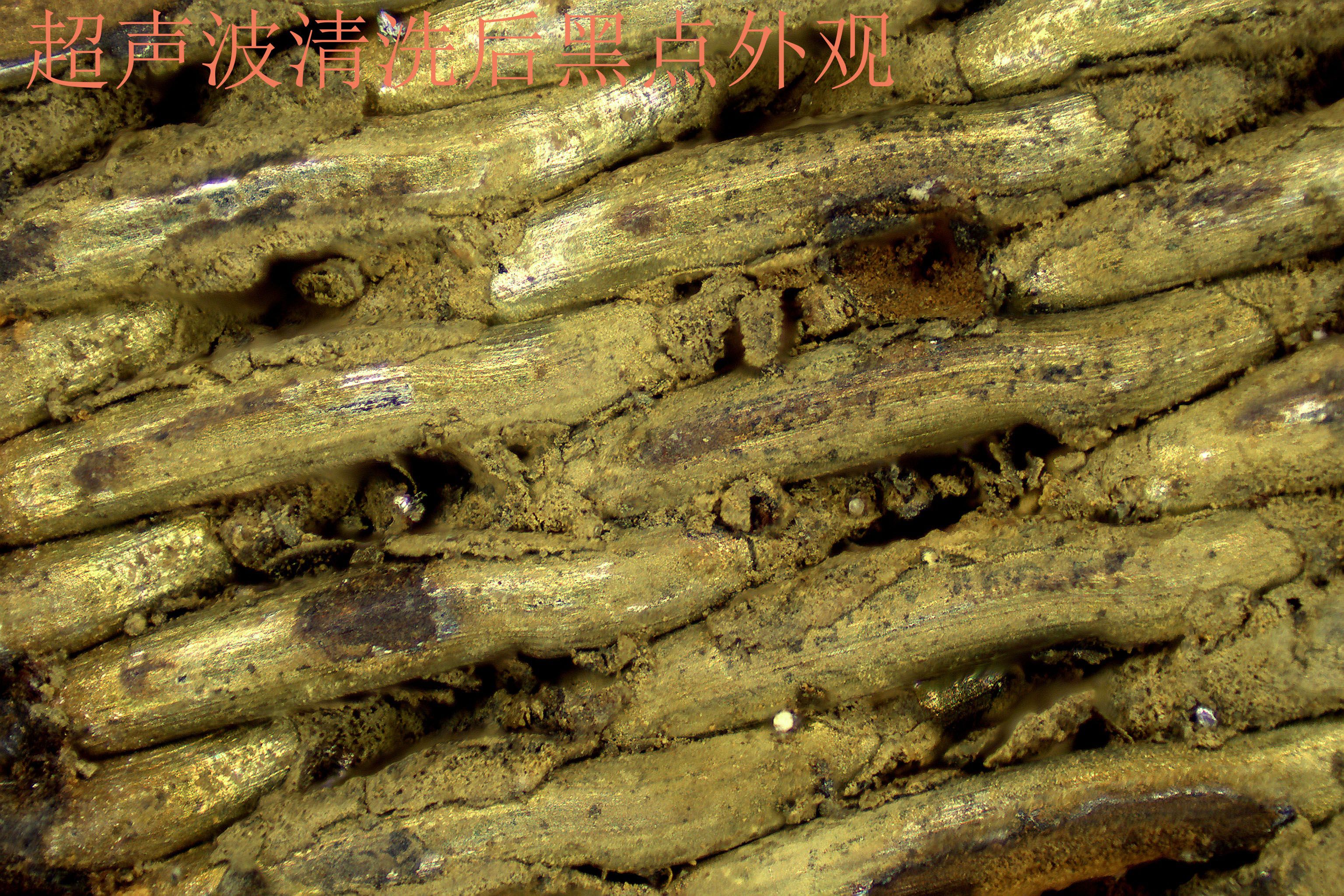 显微镜去掉黑点后