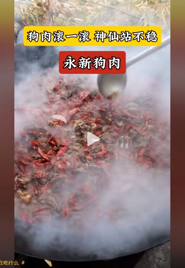 永新狗内.png