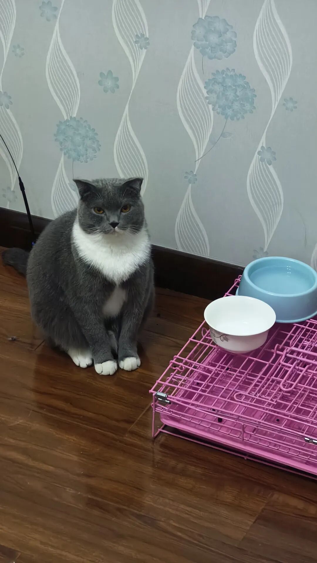 微信图片_2025-09-25_163026_688.jpg