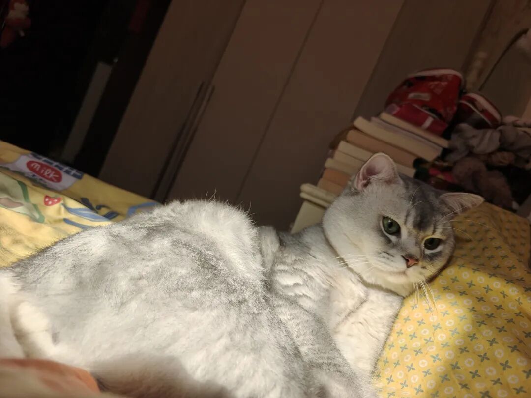 微信图片_2025-09-25_163110_032.jpg