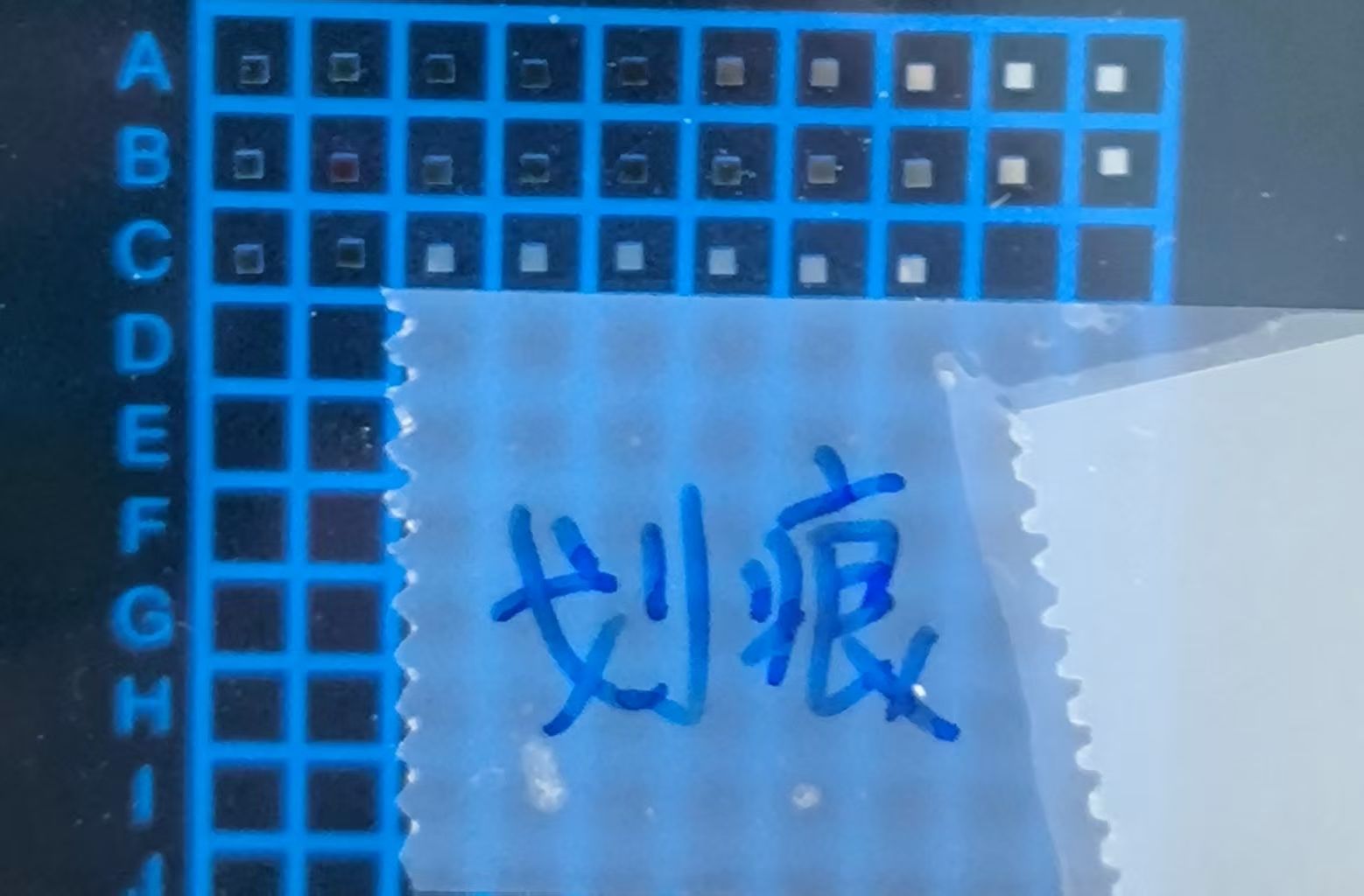微信图片_20260708155359_17_313.jpg