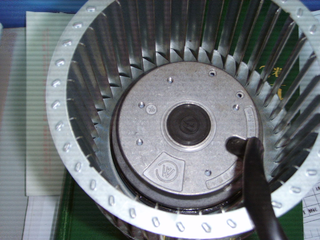 SSL20052.JPG