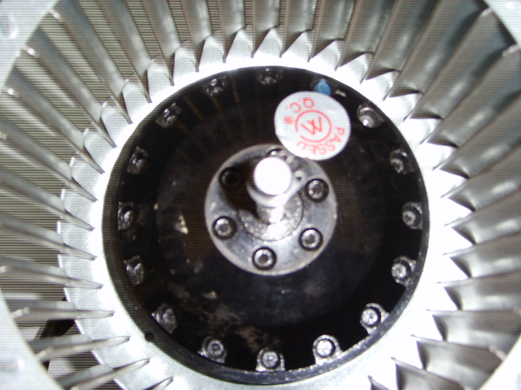 SSL20055.JPG