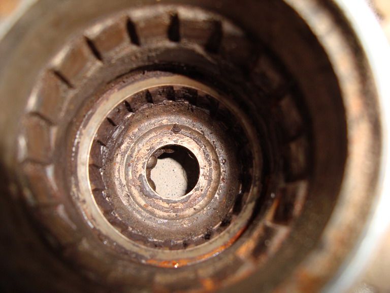 DSC02215.JPG