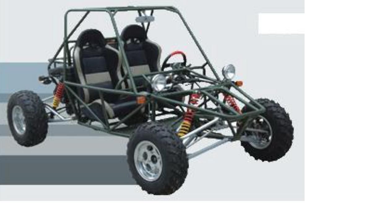 Buggy 0.8L.JPG