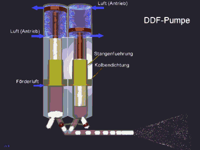 ddfp.gif