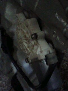 IMG0020A.jpg