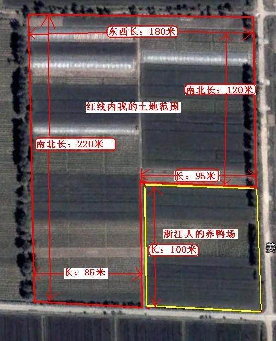 我的土地.jpg